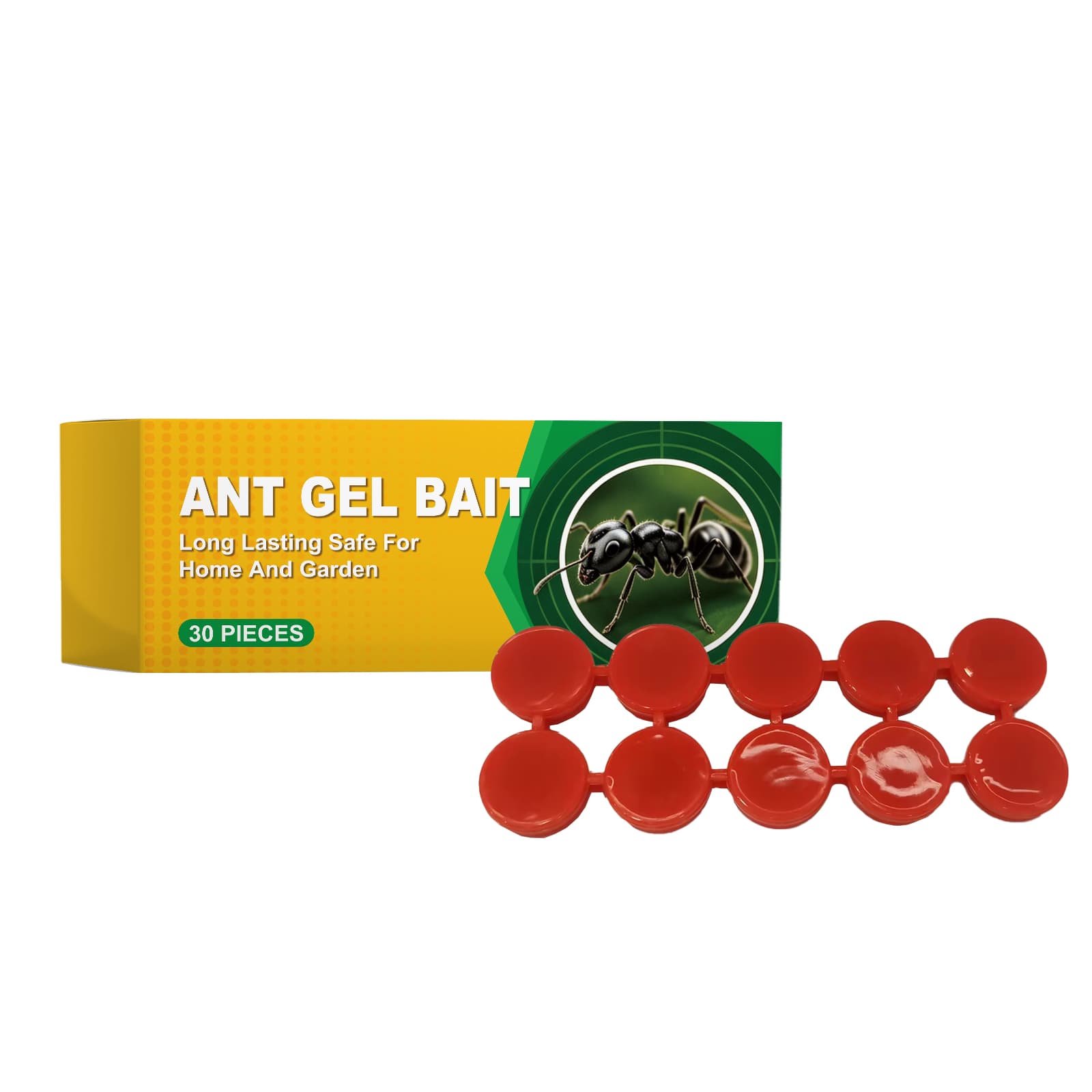 Ant Bait Box