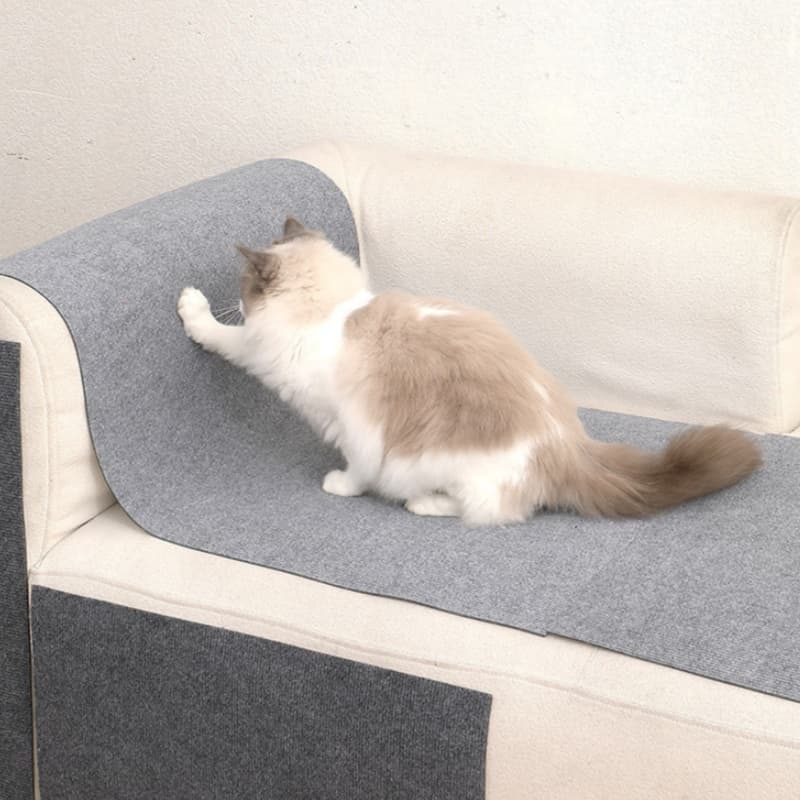 Home Sofa Wall-climbing Scratch-resistant